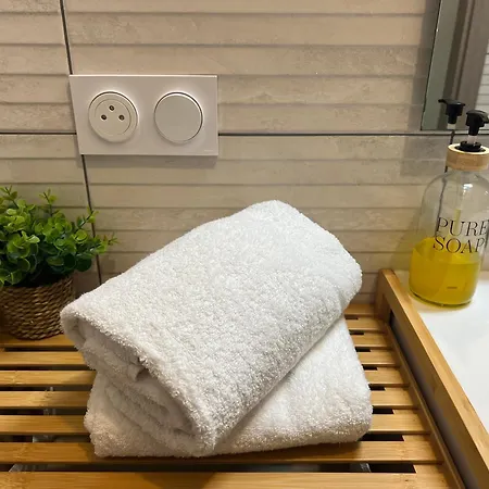 Le Cosy Wifi Netflix A Pied Proche Center Parc Proche Gare Lejlighed Sarrebourg